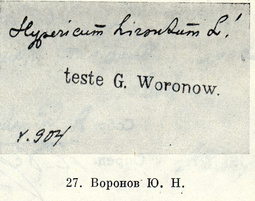 Воронов, Юрий Николаевич (Woronov, Jurij (Georg) Nikolaewich)