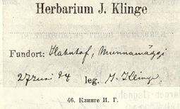 Клинге, Иоганн Густавович (Klinge, Johannes Christoph)